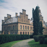 Top Universities in the World 2025 by Subject: Best for Engineering, Medicine, Business & More