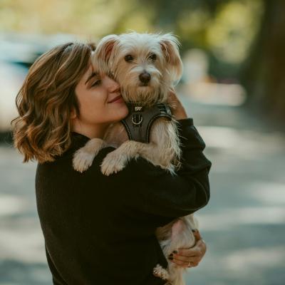 Pet Honesty: The Secret to Building Trust and Love with Your Furry Friend