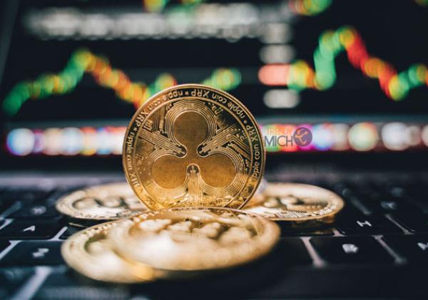 XRP Crypto Explained: A Complete Beginner's Guide to Investing in 2026