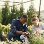 Gardening Tips for Beginners: Start Your Dream Garden with Ease